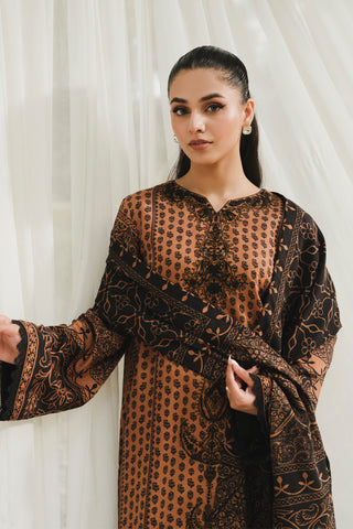 ALINA - A