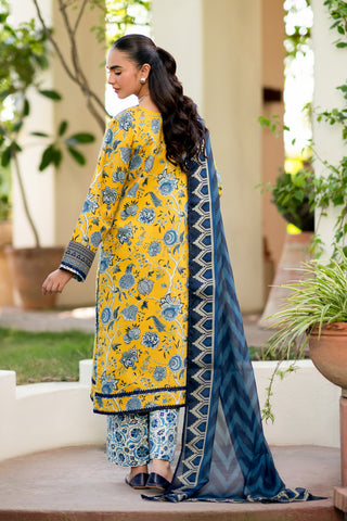 INTEHAA